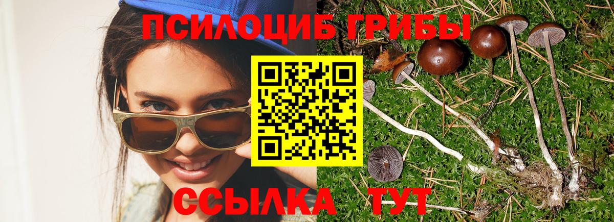 Галлюциногенные грибы мицелий  Вход с VPN  Галлюциногенные грибы прущие грибы  Барабинск 